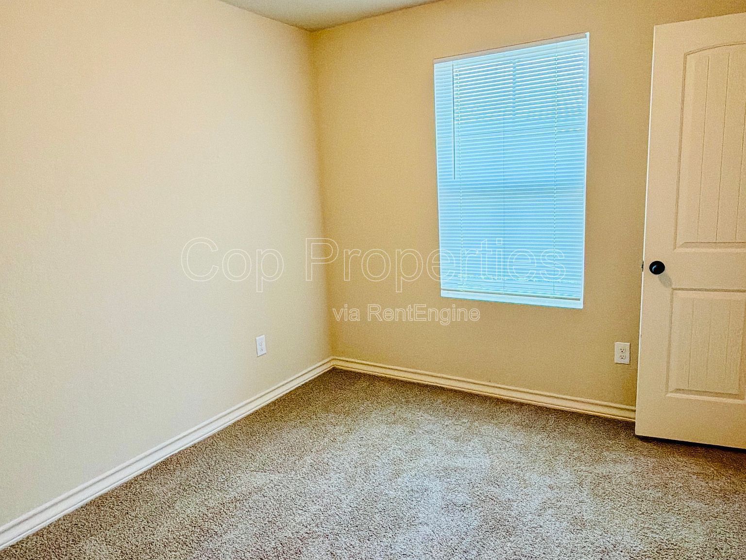 7108 Micayla Cove #104 property image