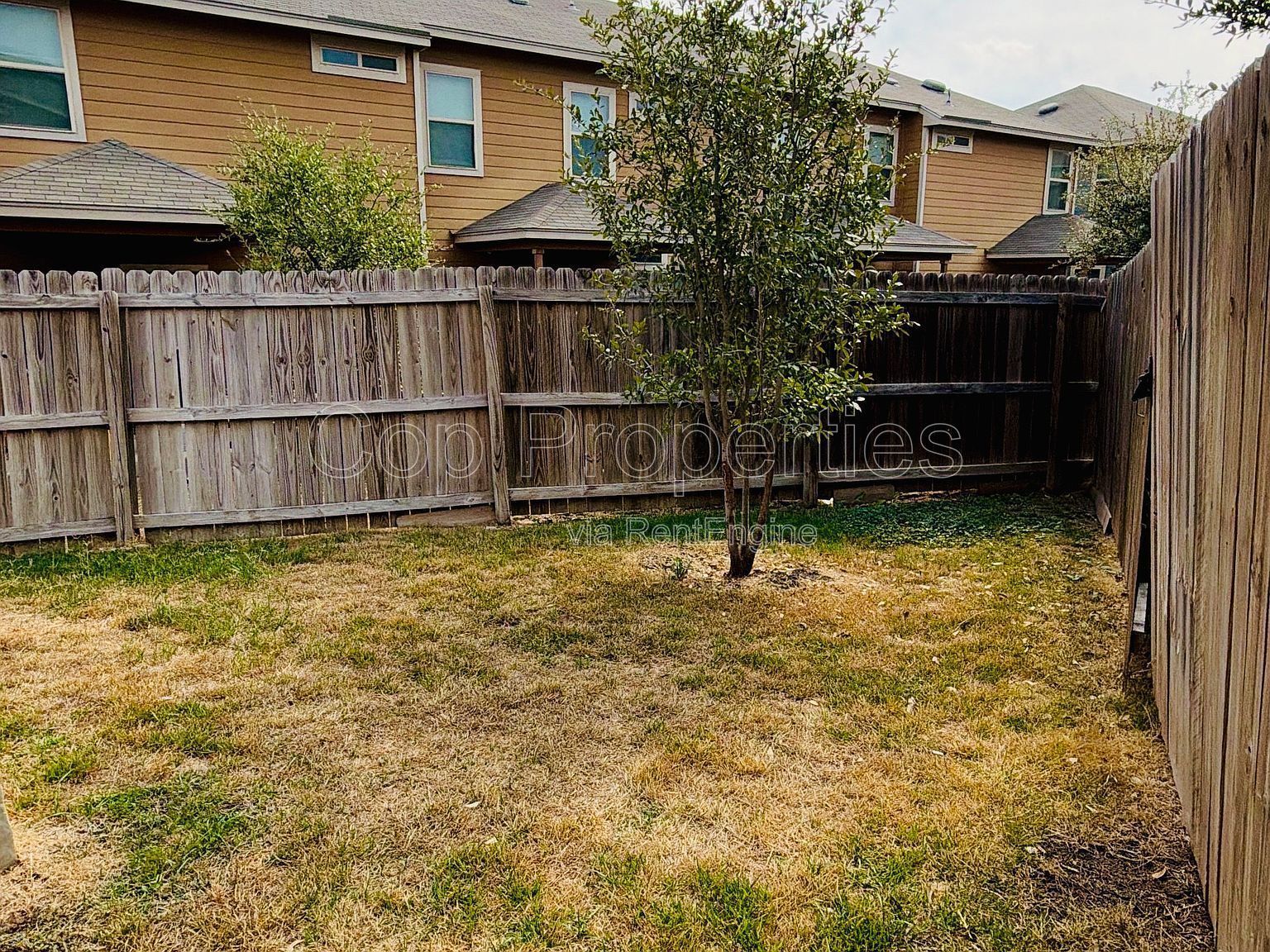 7108 Micayla Cove #104 property image